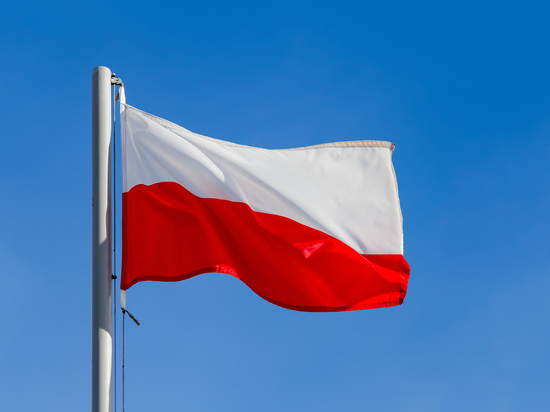 В Совбезе РФ Польшу назвали «гиеной Европы»