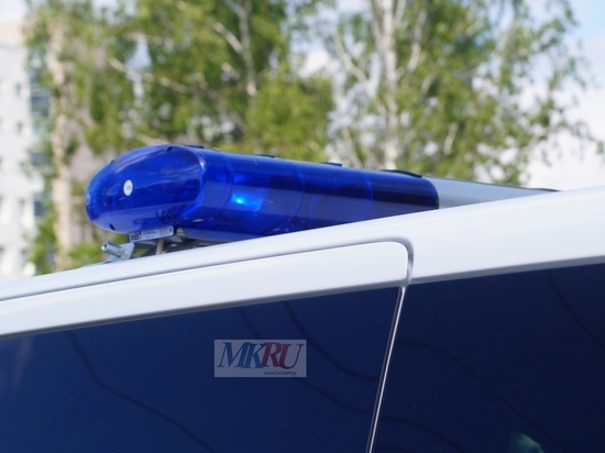 Трое полицейских подрались с гражданскими в гаражном массиве в Красноярске