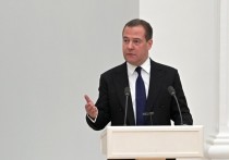 Дмитрий Медведев прокомментировал попытки Украины и поддерживающих ее западных стран создать международный трибунал для расследования преступлений, якобы совершенных Россией в ходе спецоперации на Украине