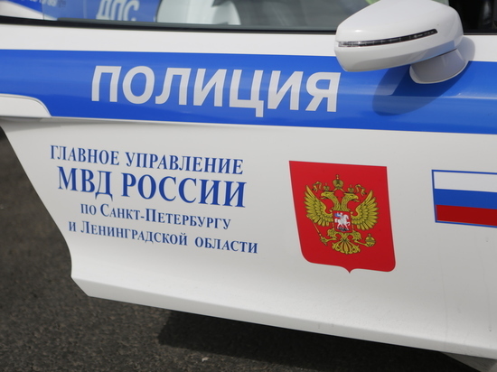 После утреннего ДТП с полицейскими машинами на Московском проспекте организовали проверку