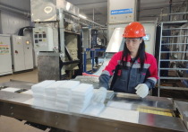 ООО «Технопарк Реал-Инвест» открыл в Нижегородской области третий завод по производству пищевой углекислоты и сухого льда