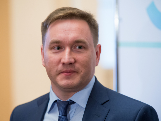 Историк Иванов назначен председателем петербургского отделения ВООПИиК