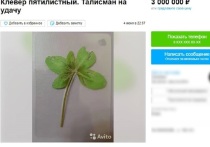 Жительница Белгорода выставила на продажу пятилистный клевер