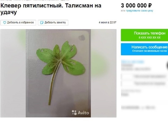 Белгородка продает пятилистный клевер за 3 млн рублей