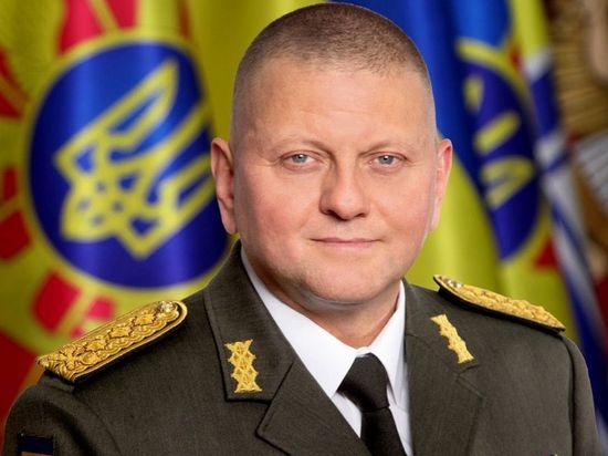 Кива: Зеленский планирует обвинить главкома Залужного в потере Донбасса