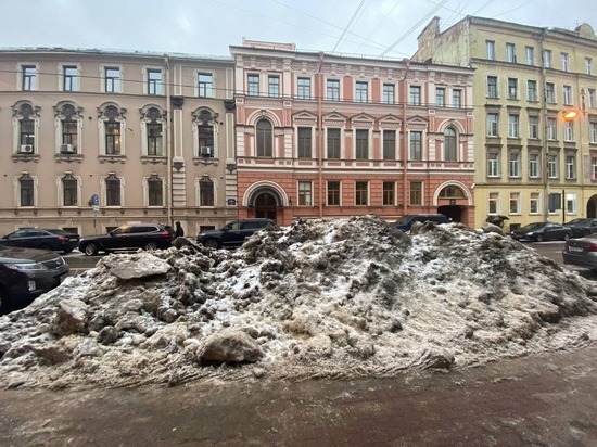 Черный снег обнаружили в Приморском районе Петербурга в середине лета