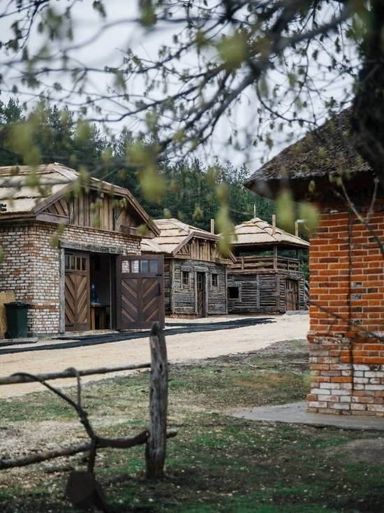 Воронежцы могут добраться до парка «Нелжа» на пригородных электропоездах