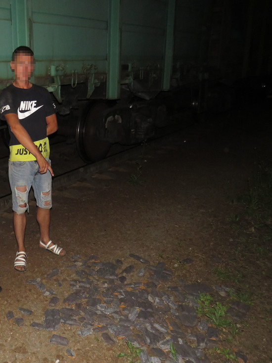 В Батайске полицейские задержали мужчину, попытавшегося украсть 300 кг железной руды