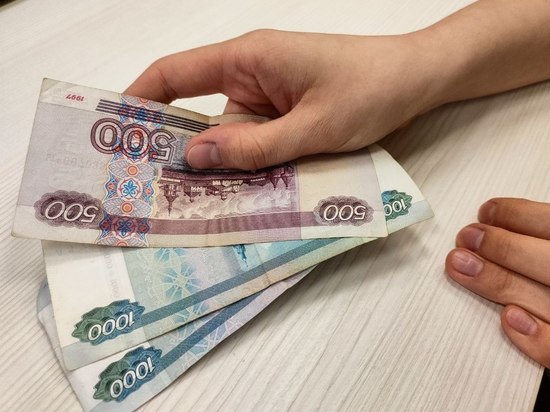 В Петербурге ФНС представила систему, собирающую «цифровой портрет должника»