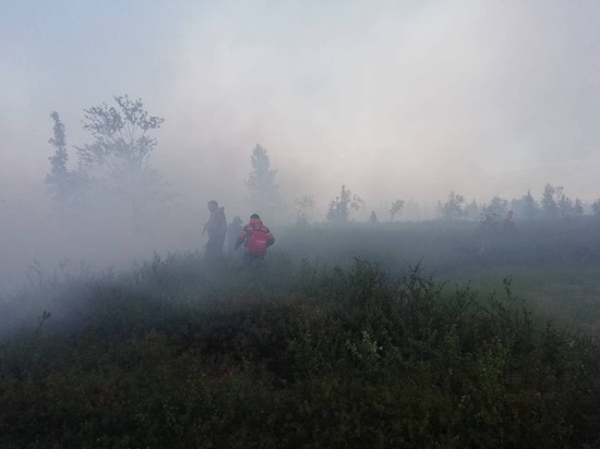 ЯНАО назвали в числе регионов РФ с повышенными рисками возгорания лесов в июле
