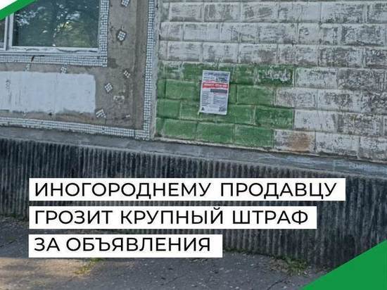 Благовещенск пытается избавиться от расклейщиков объявлений