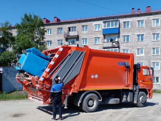 За полгода на Сахалине из сетчатых контейнеров вывезли около 500 тонн мусора