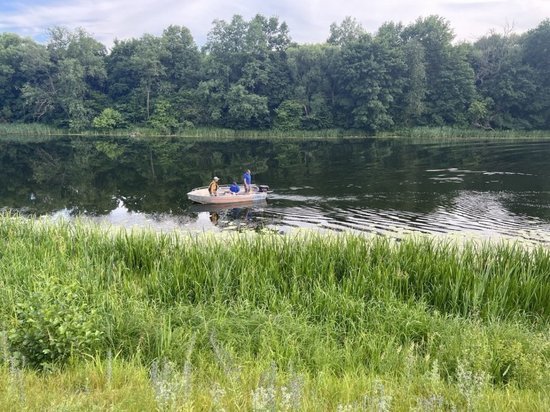 В Курской области в реке Свапа 30 июня утонул 53-летний мужчина