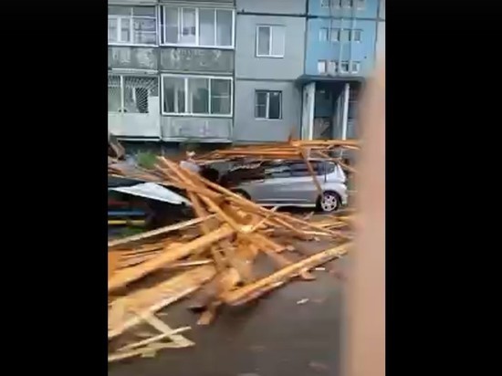 Сапожников рассказал о поваленных деревьях и снесенной ветром крыше в Чите