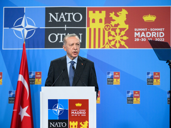 Эрдоган заявил, что Швеция и Финляндия еще не вступили в НАТО