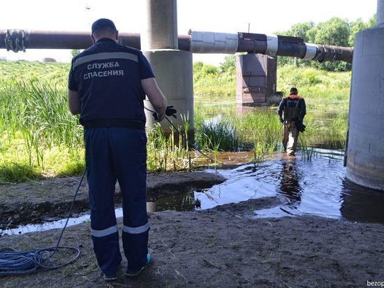 В Челябинске из реки достали человеческие останки