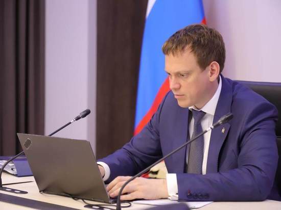 Малков доложил Голиковой о ситуации на рынке труда в Рязанской области