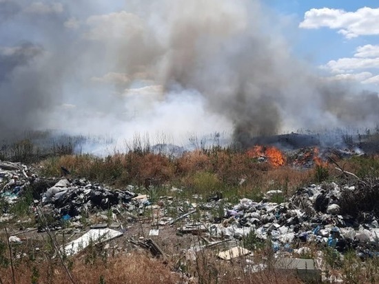В Донецке произошел пожар на мусорном полигоне