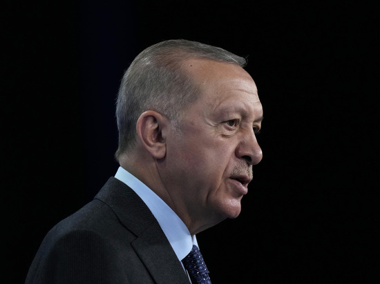 «У турецкого лидера есть потенциал пугать шведов и финнов приостановкой этого процесса»