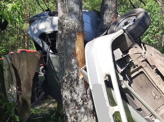Жесткая авария под Судогдой: авто намоталось на столб, но водитель не пострадал