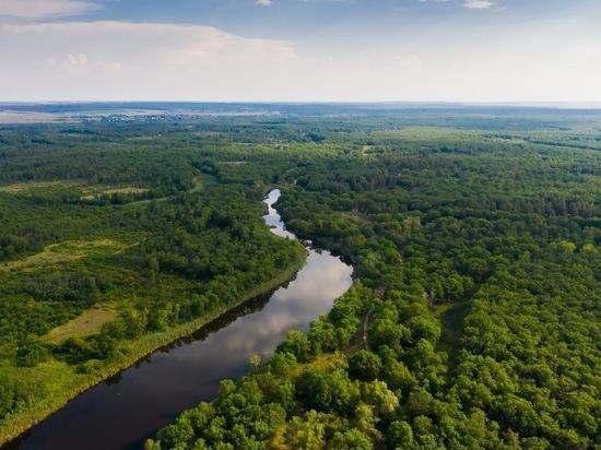 В Волгоградской области на 3 недели продлили запрет на посещение лесов