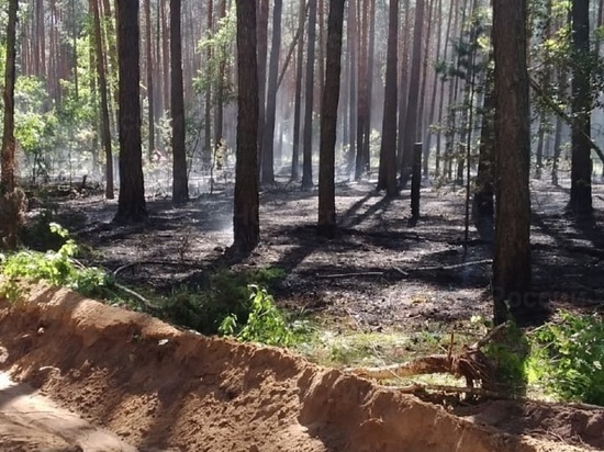 Лесной пожар произошел в Калужской области