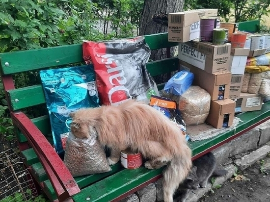 Ивановские волонтеры собрали гуманитарную помощь для мариупольских кошек