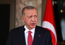 Ставший «героем-именинником» прошедшего в Мадриде саммита НАТО турецкий лидер Эрдоган, снявший возражения против вступления в альянс Швеции и Финляндии, продолжает куражиться