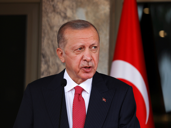Ставший «героем-именинником» прошедшего в Мадриде саммита НАТО турецкий лидер Эрдоган, снявший возражения против вступления в альянс Швеции и Финляндии, продолжает куражиться