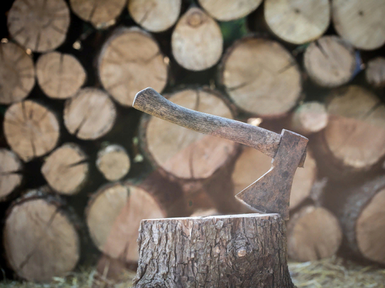 В Хакасии могут начать передавать нелегальную древесину на нужды муниципалитетов