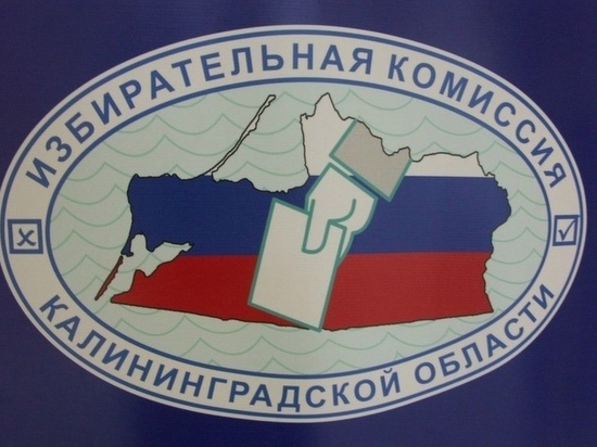 В Калининградской области открыли штаб по общественному контролю и наблюдению на выборах