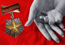 Сейчас рейтинг наград в России явно возглавляет орден «Мать-героиня», - по крайней мере по уровню внимания к нему в руководстве нашей страны и депутатских кругах