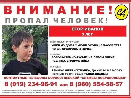 В Воронежской области объявили срочные поиски исчезнувшего 5-летнего малыша