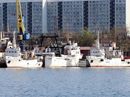В ДНР будут праздновать День работников морского флота