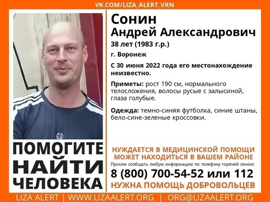 В Воронеже уже 3 дня ищут 38-летнего мужчину, пропавшего по пути на работу, и 77-летнюю учительницу биологии