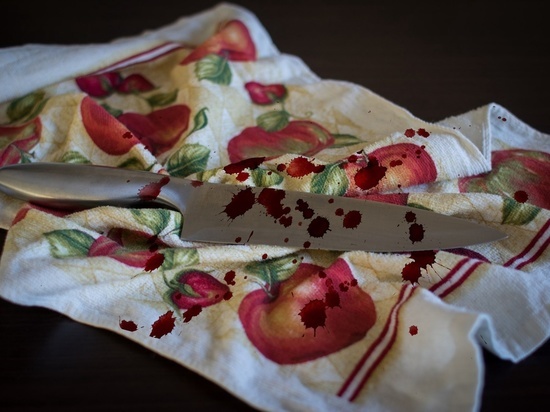 Пожилой отец, страдающий психическим расстройством, зарезал сына в Карелии