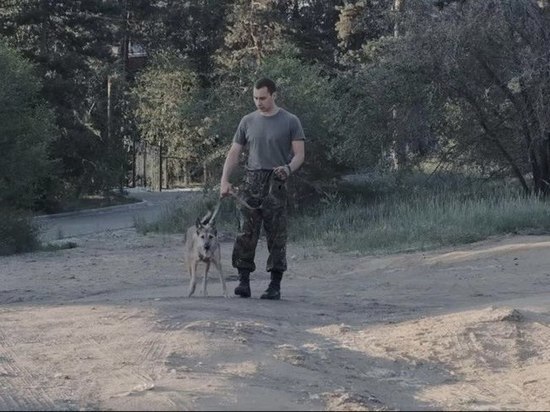 Читинцы сняли короткометражку «Грани» про отловщика собак