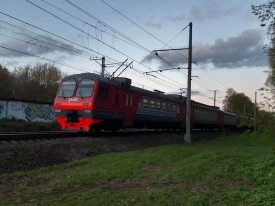 В Парголово ребенку прищемило руку дверью электрички