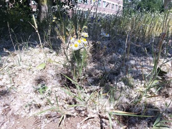 Атмосферный фронт с запада изменит погоду в Ленобласти