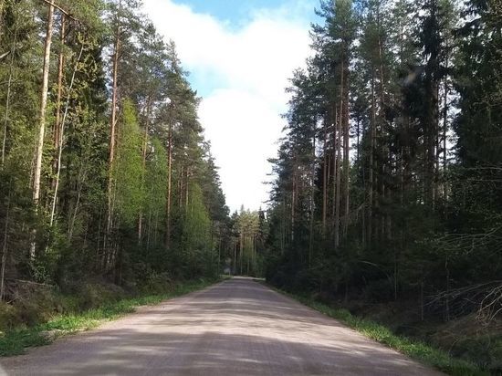 Петербуржец погиб на берегу озера в Васкелово после выстрела из леса