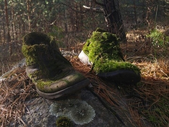 «Ботинки лешего» обнаружили в лесу под Себежем