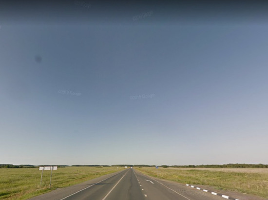 Грузовик сбил лося на Тюменском тракте