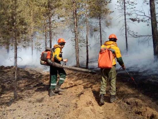 Множественные лесные пожары в Бурятии тушила почти тысяча человек