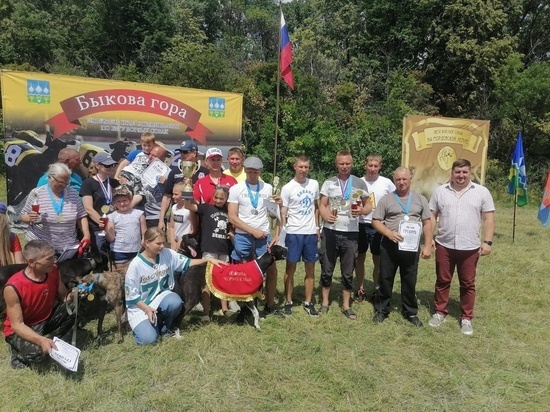 Победителем любительских соревнований по бегу борзых собак стал Атаман из Мордово