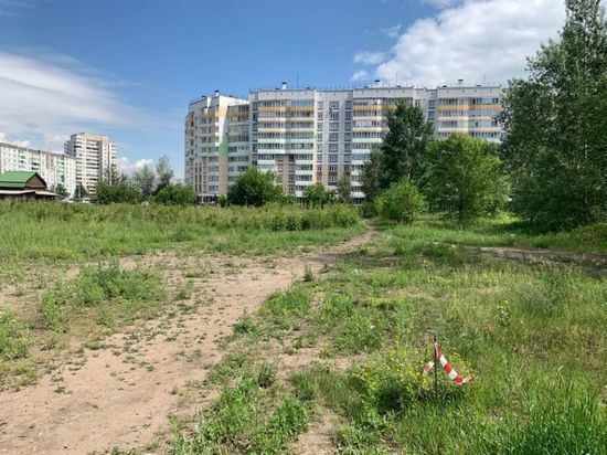 В Красноярске власти обещают сохранить деревья при благоустройстве сквера «Казачий»