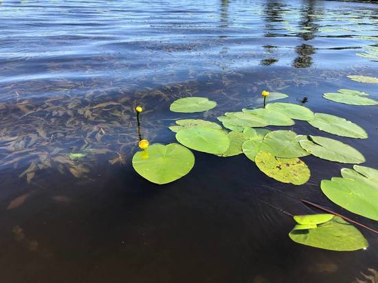 В Роспотребнадзоре рассказали, как выбрать водоем для купания