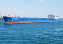 В Турции, в порту Карасу, задержано российское грузовое судно, якобы перевозившее украинское зерно