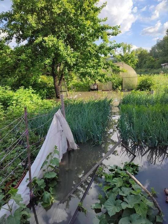 В Пензе городская канализация затопила огород