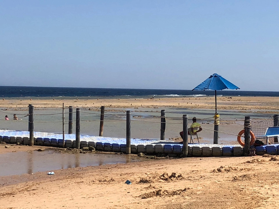 В Хургаде закрыли пляжи после нападения акул на туристов