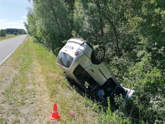 За прошедшую неделю во Владимирской области произошло 370 ДТП